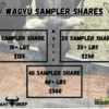 Wagyu Live Sampler Shares